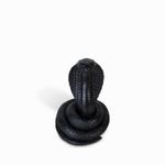 Serpiente-negra