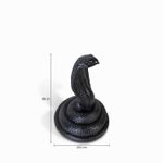 Serpiente-negra
