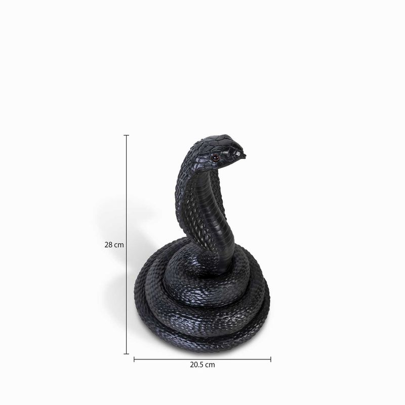 Serpiente-negra