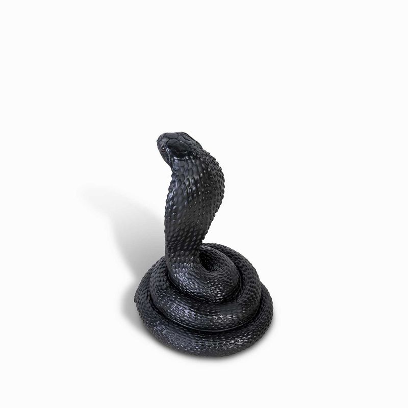 Serpiente-negra
