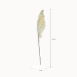 Junco-Crema