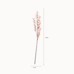 Orquidea-Danzante-Rosada