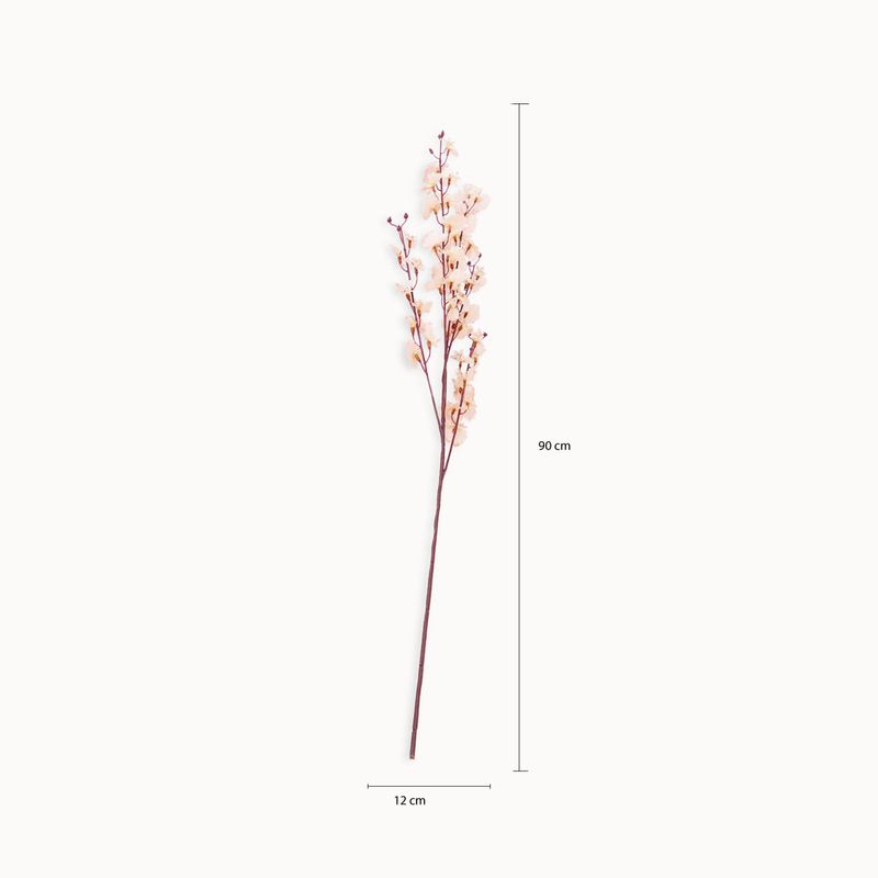 Orquidea-Danzante-Rosada