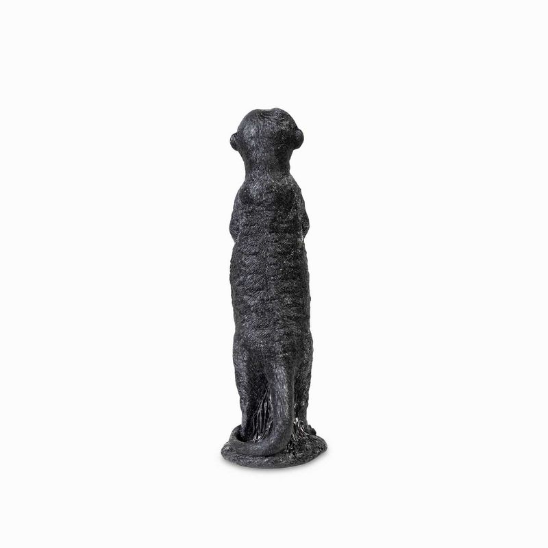Suricato-negro