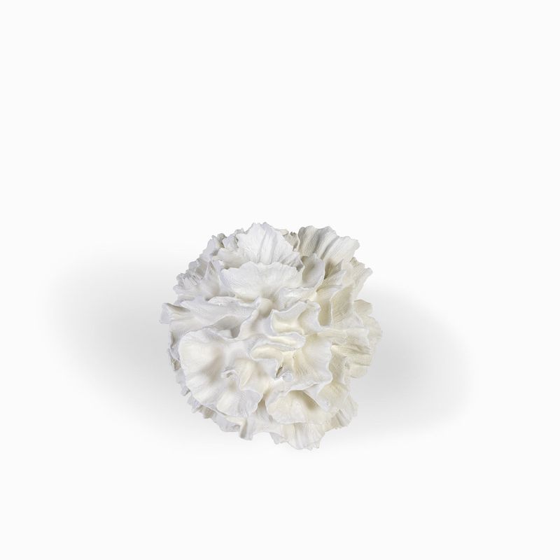 Coral-en-resina-24x25cm