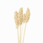 Ramo-indian-beige