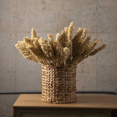 Ramo Indian beige