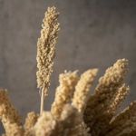 Ramo-indian-beige