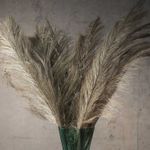 Racimo-sika