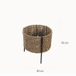 Matera-en-Jacinto-de-agua-con-base