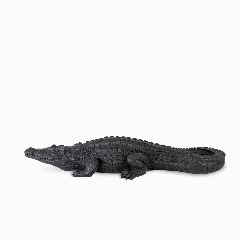 Cocodrilo-negro