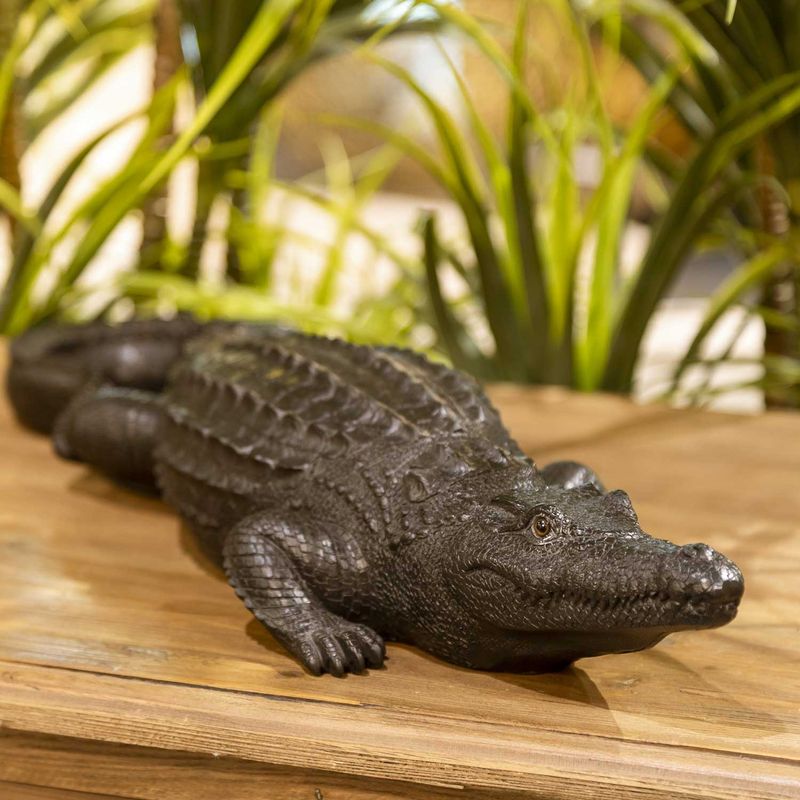 Cocodrilo-negro