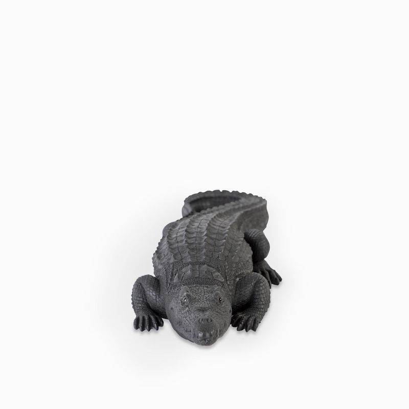 Cocodrilo-negro