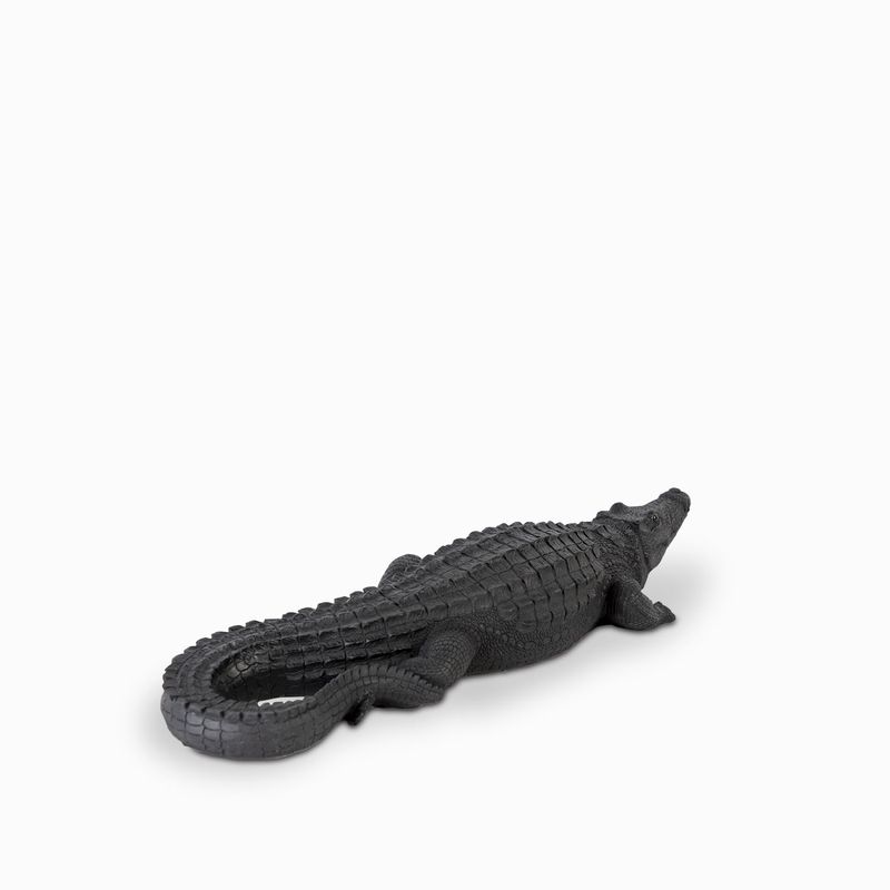 Cocodrilo-negro