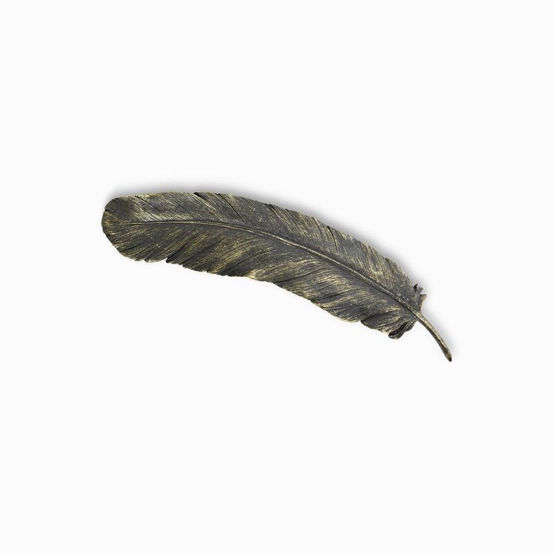 Pluma-en-resina
