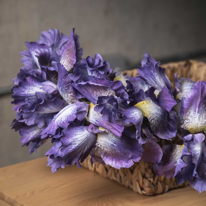 Lirio-morado-83cm