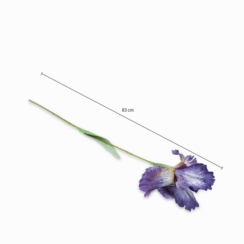 Lirio-morado-83cm