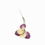 Lirio-amarillo-83cm