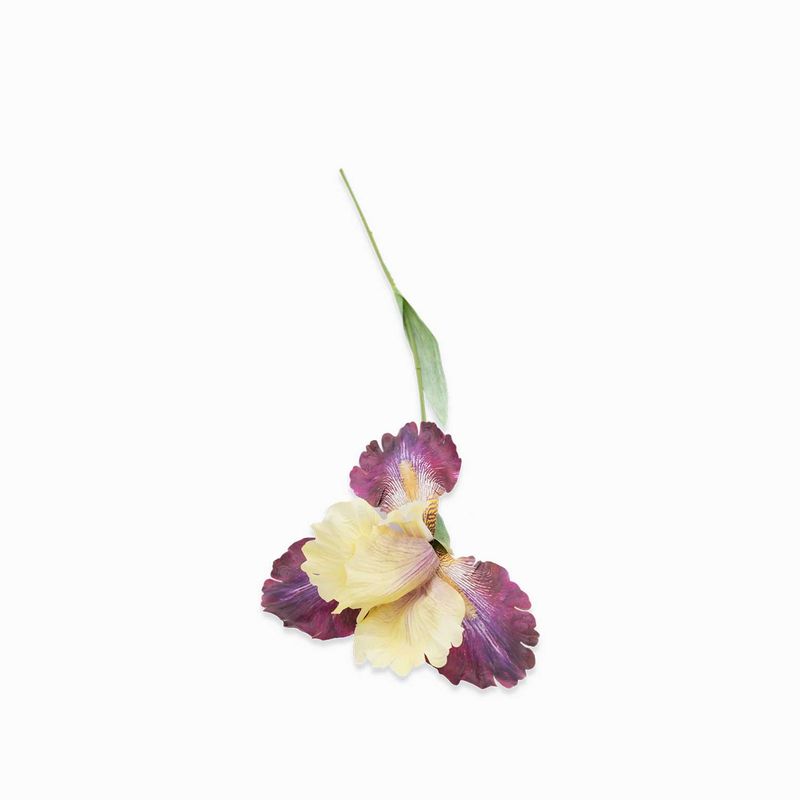 Lirio-amarillo-83cm