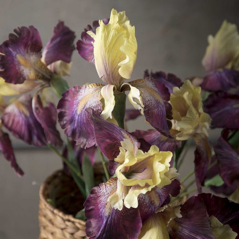 Lirio-amarillo-83cm