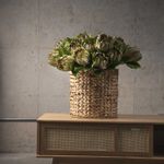 Flor-Protea-63cm