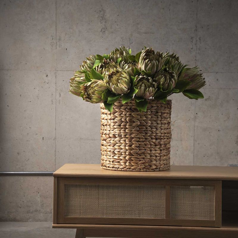 Flor-Protea-63cm