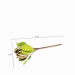 Flor-Protea-63cm