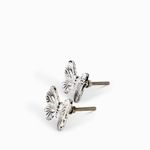 Pomo-mariposa-decape-set-x-2