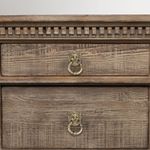 Pomo-leon-aluminio-set-x-2