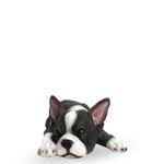 Perro-boston-terrier