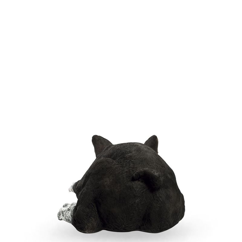 Perro-boston-terrier