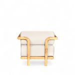 Poltrona-palma-60x80x93