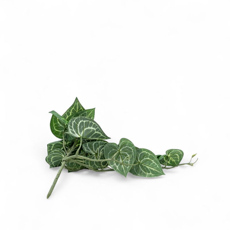 Singonio-colgante-54cm