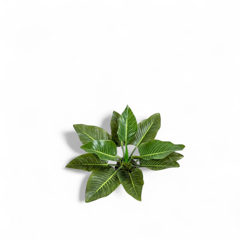 Planta-Anturio-63cm