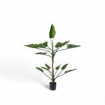 Planta-Anturio-150cm