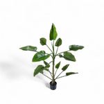 Planta-Anturio-150cm