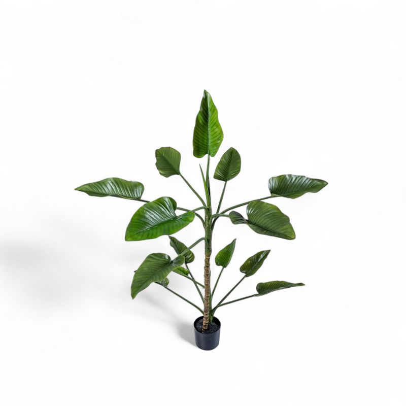 Planta-Anturio-150cm