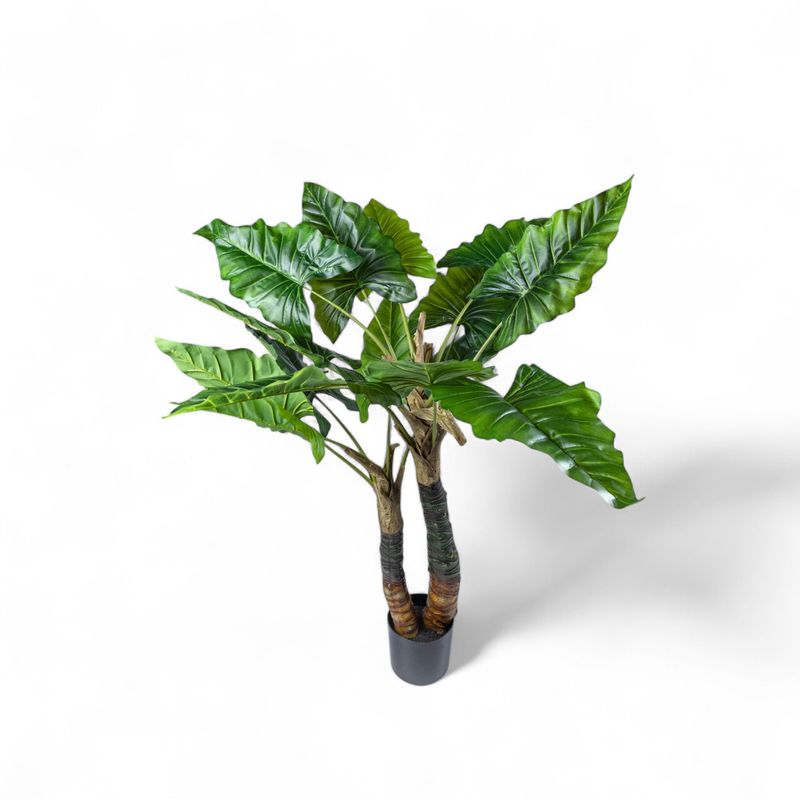 Planta-Cala-150cm