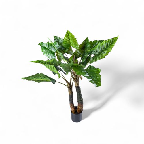 Planta Cala 150cm