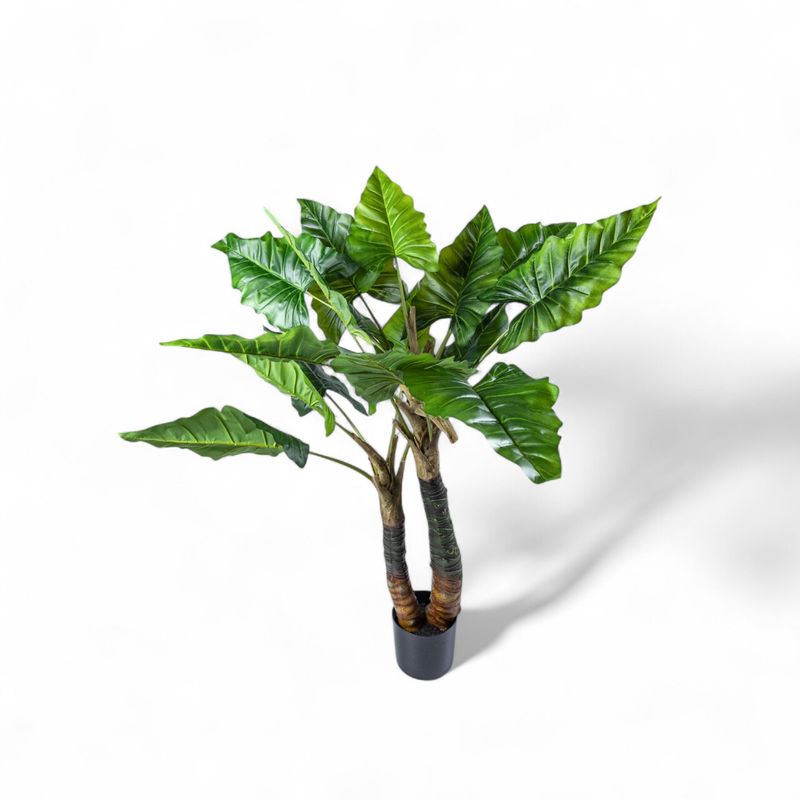 Planta-Cala-150cm