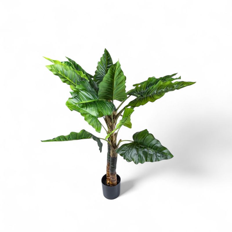 Planta-Cala-150cm