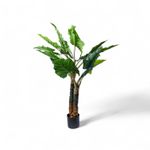 Planta-Cala-150cm