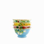 Tazon-sopa-Frutal-600ml-setx4
