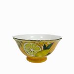 Tazon-sopa-Frutal-600ml-setx4