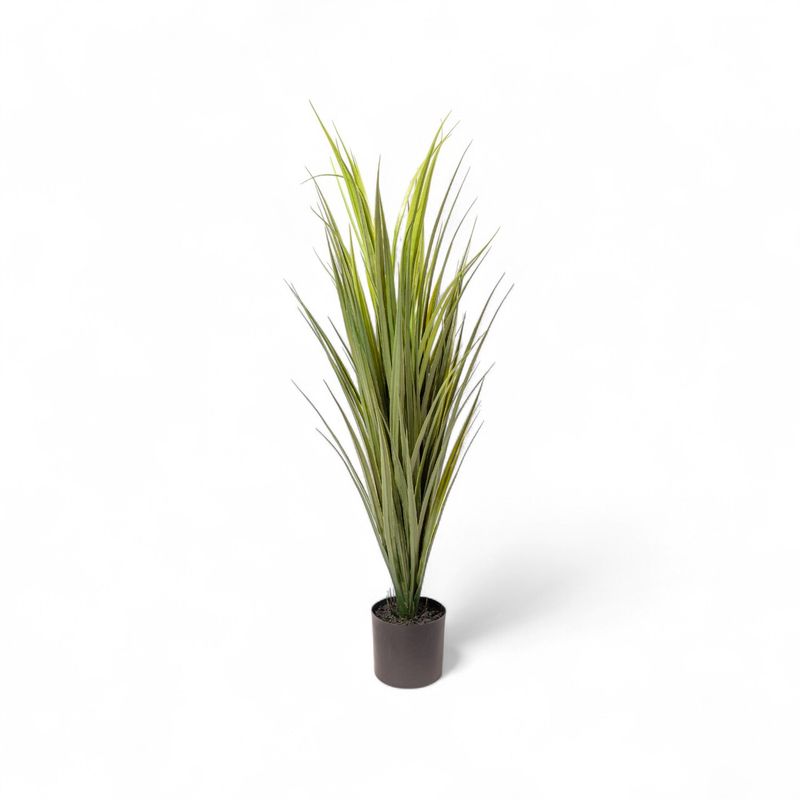Yuca-90cm