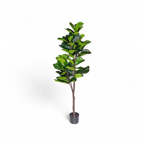 Árbol Lyrata Artificial 165 cm