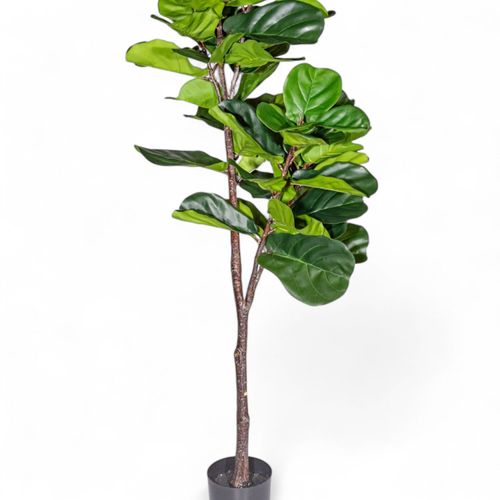Árbol Lyrata Artificial 165 cm