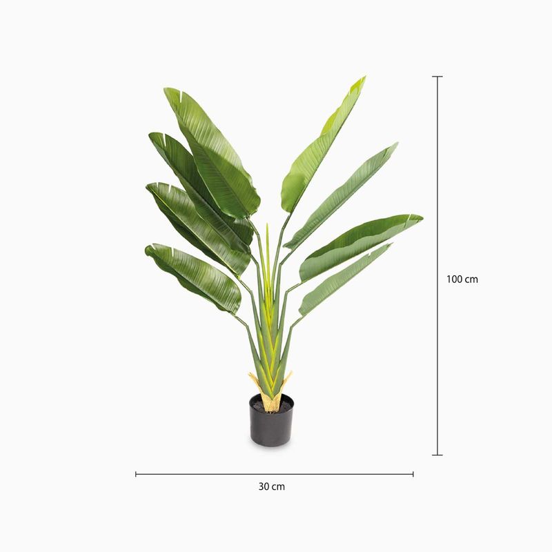 Estrelitzia-140cm