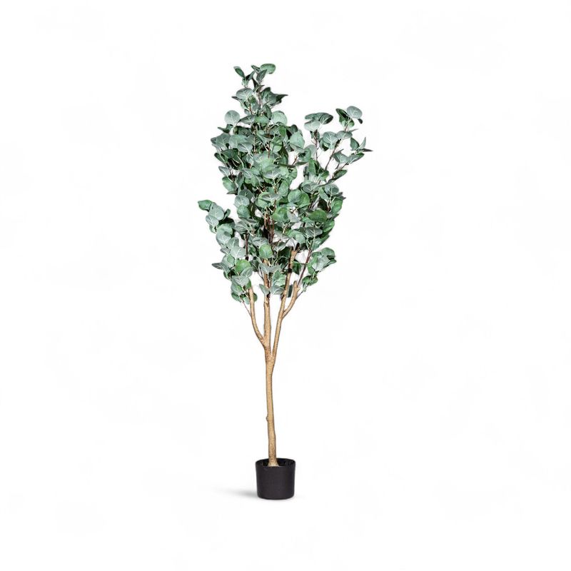 Arbol-eucalipto-150cm