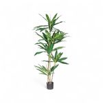 Arbol-dracena-160cm